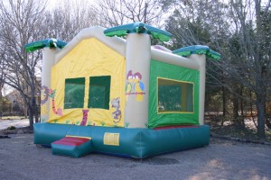 birthday party bounce house rental jungle